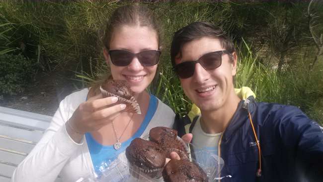 Chocolate muffins!