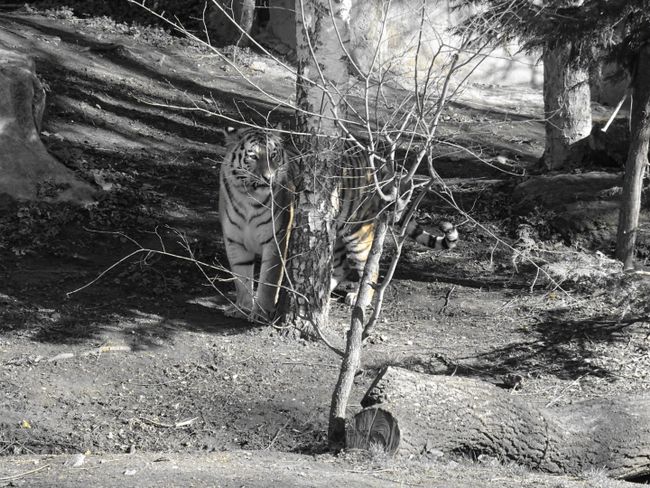 Zoo Leipzig