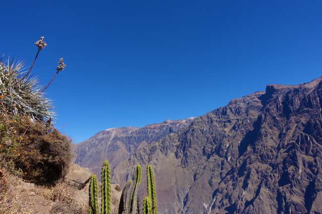 From Arequipa, the Colca Canyon, and the worst day in Tina's life!