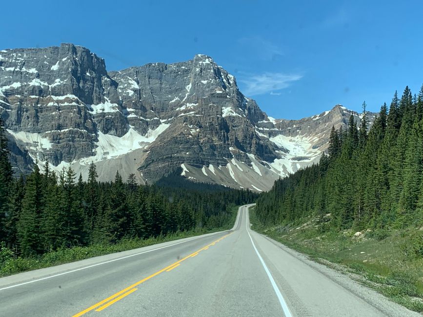 BLOG 5 Icefields Parkway