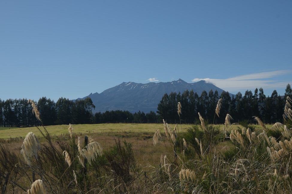 View from the hotel: Mt.Tongariro and Mt.Ngauruhoe