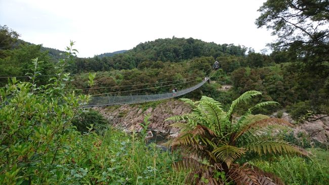 Longest Swingbridge in New Zealand