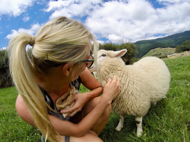 Nadia hat sich verliebt, die Schaf-Flüstererin