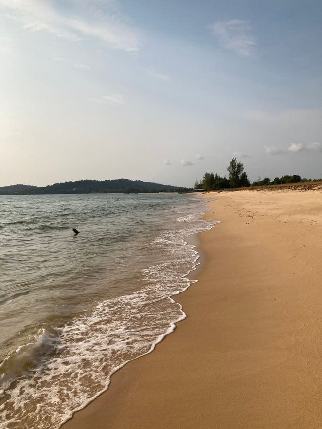 اليوم 26 - الغوص في جزيرة كيم كوي، شاطئ أونج لونج