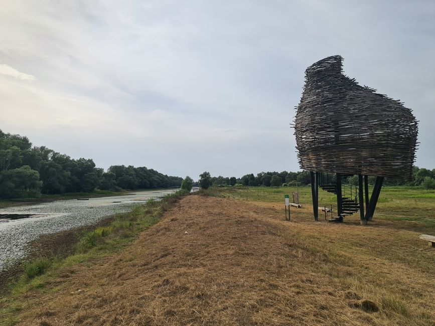 Weites flaches unbewohntes Land. Wie Brandenburg. 