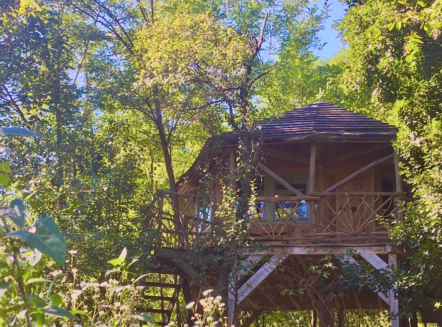 The treehouse for the guests.