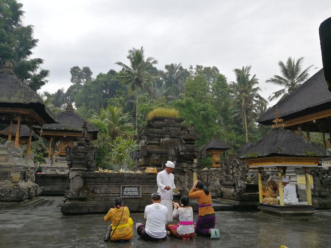 Bali Vibes in Canggu und Ubud