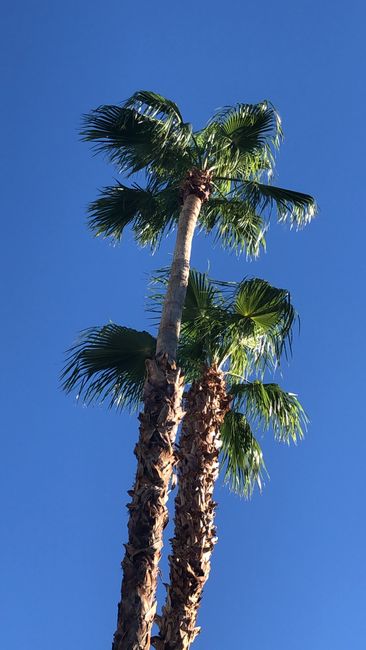 Palm Springs 17.9.18