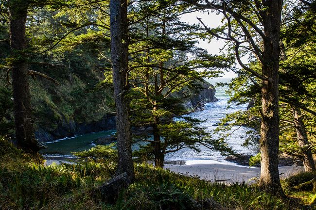 A small bay at Cape Disappointment
