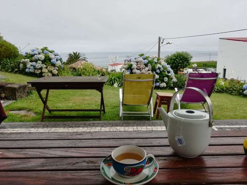 morning tea on the terrace