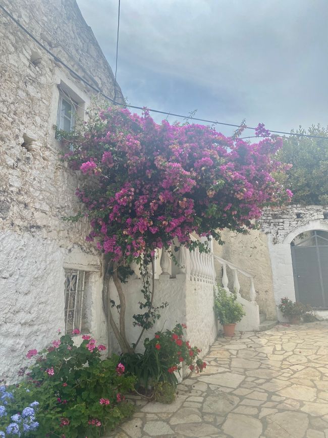Afionas und Porto Timoni