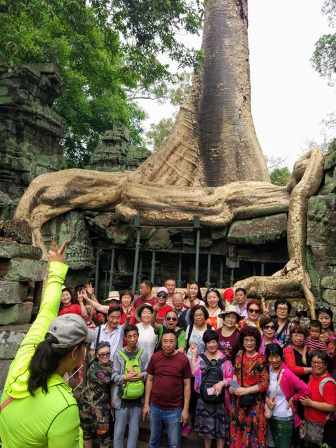 Tempelrun in Siem Reap - Angkor