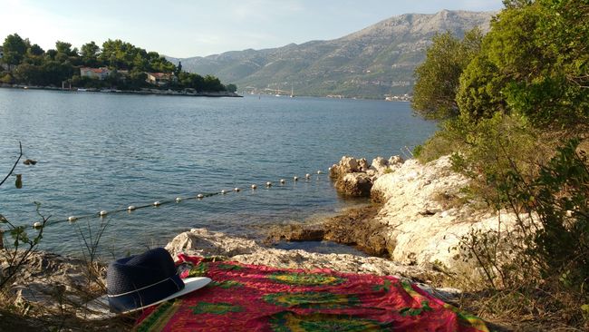 Korčula mit dem Fahrrad