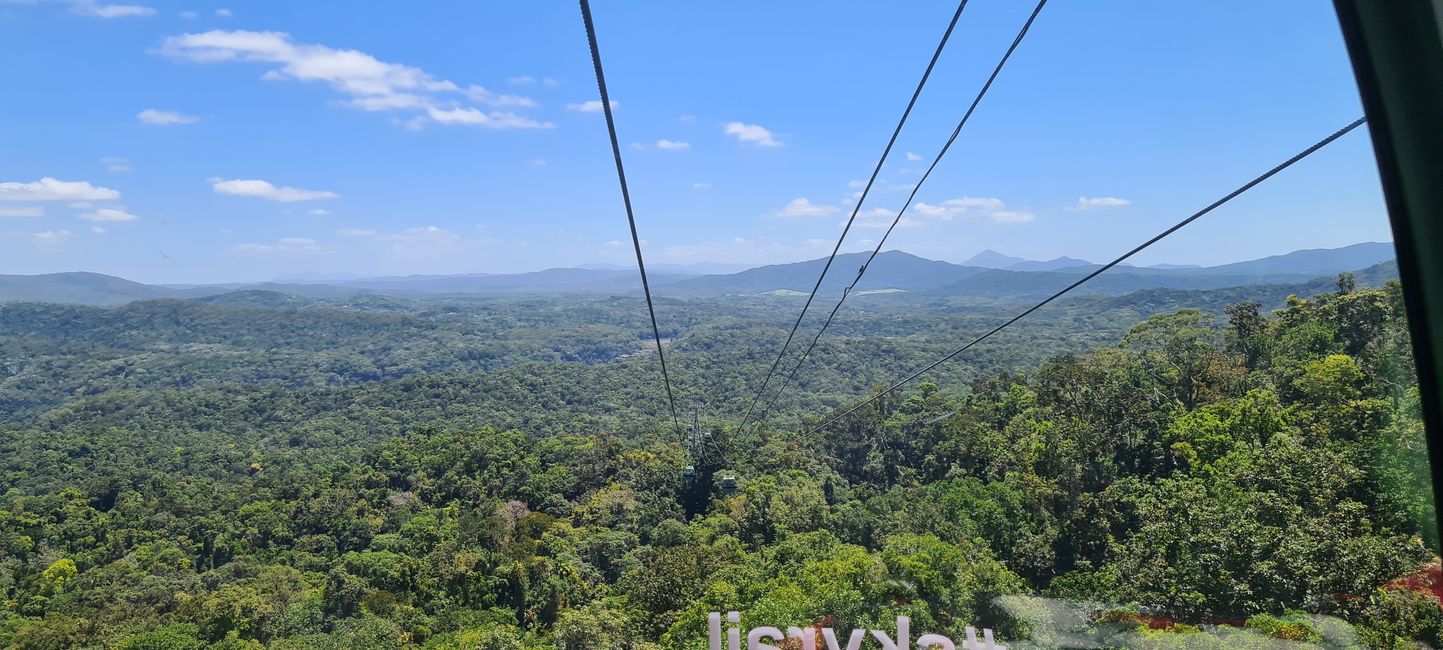 Fantástico viaje sobre la selva tropical