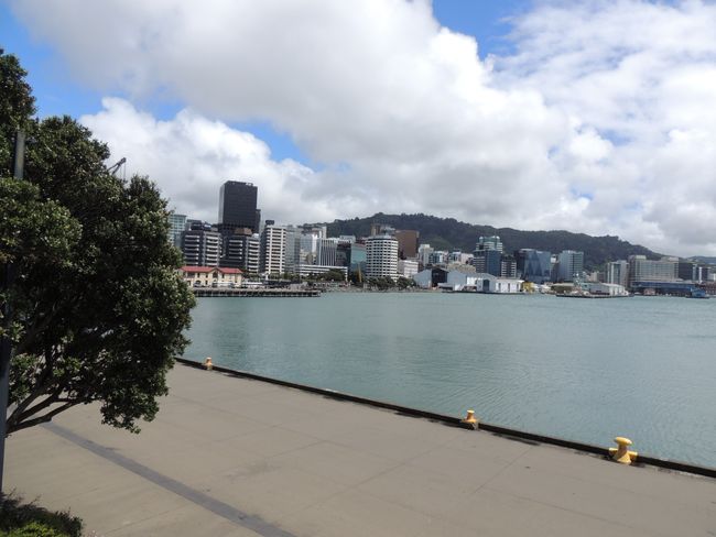 Wellington (5 Tage)