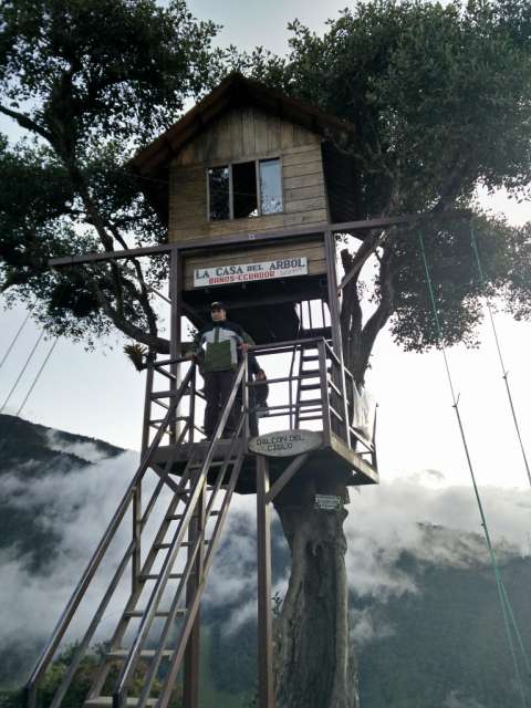 Baños, a place to swing