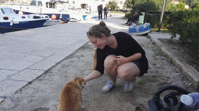 Dubrovnik: Mandarine auf Mandarinen, Katze über Katzen