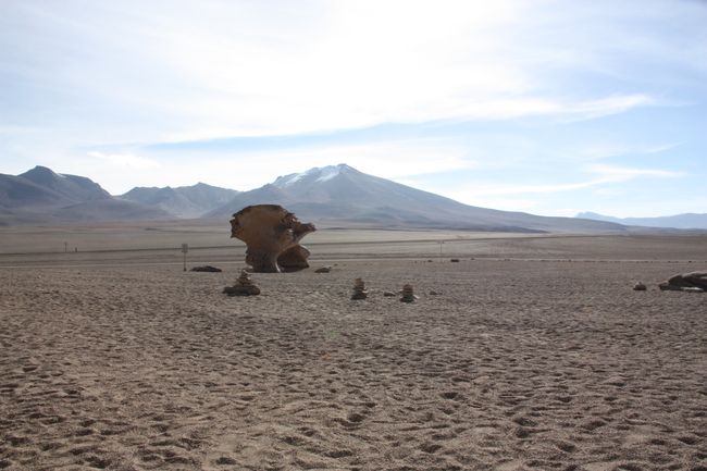In the Bolivian highlands