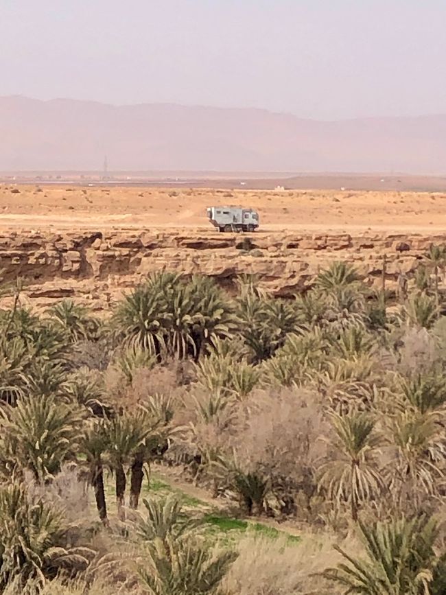 A dream for free campers: Between the desert and the palm grove.