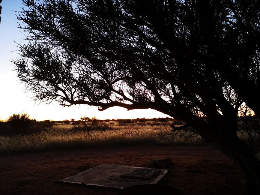 Last camping stop: Kalahari