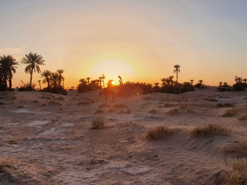 Der erste Sonnenuntergang in der Wüste 