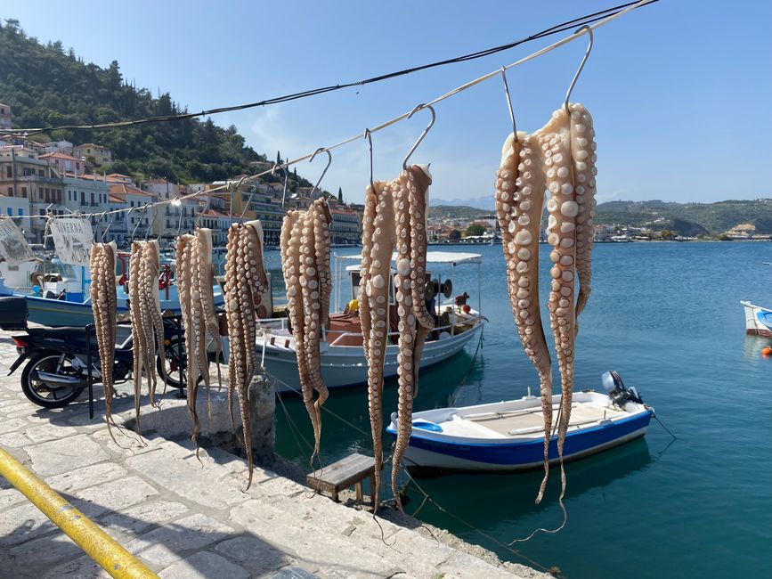 Squid tentacles hung up to dry. This is supposed to make them more tender 
