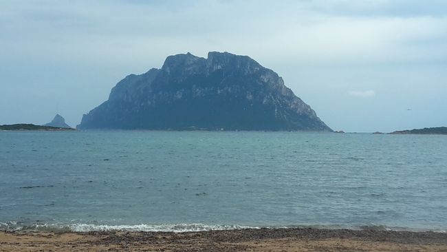 #12 Corsica မှ Kingdom သို့