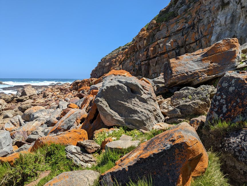 Plettenberg Bay/Robberg Nature Reserve