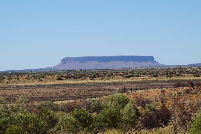 Mt. Conner, wir beim ersten Anblick gerne mit dem Uluru verwechselt 