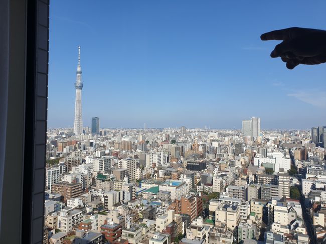 Unser Zimmer - 22. Etage mit Blick auf den Tokyo Skytree, dem höchsten Fernsehturm und 2. höchstem Gebäude der Welt (634m)