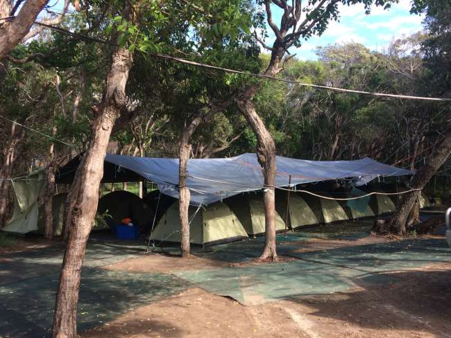 Unsere Zelte auf Fraser Island