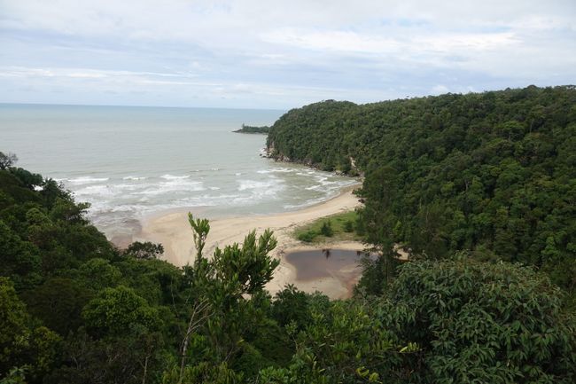 Day 232 and 233 in Bako National Park