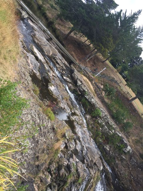 Family time Part 2 and the North Island of New Zealand