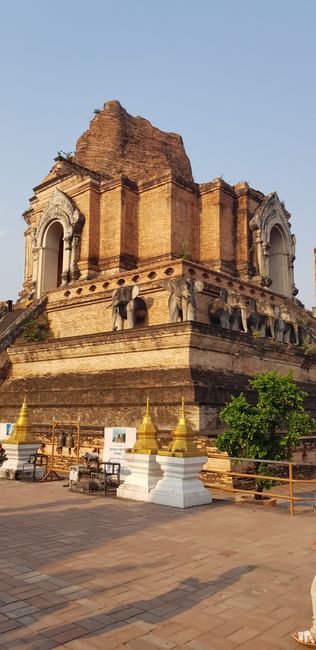 Der Wat Chedi Luang, mein Lieblingstempel bisher, die Elefanten sahen so echt aus 😱