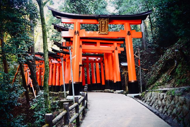 Torii des Fushimi Inari Schreins