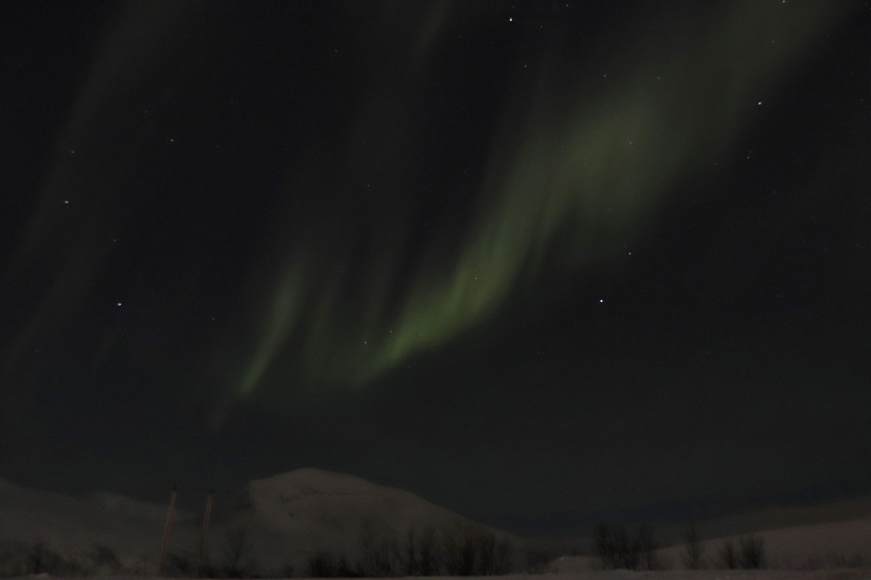 Northern Lights at Fjellheisen