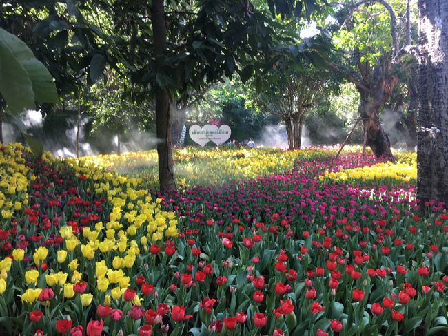 Chiang Rai Tag 2