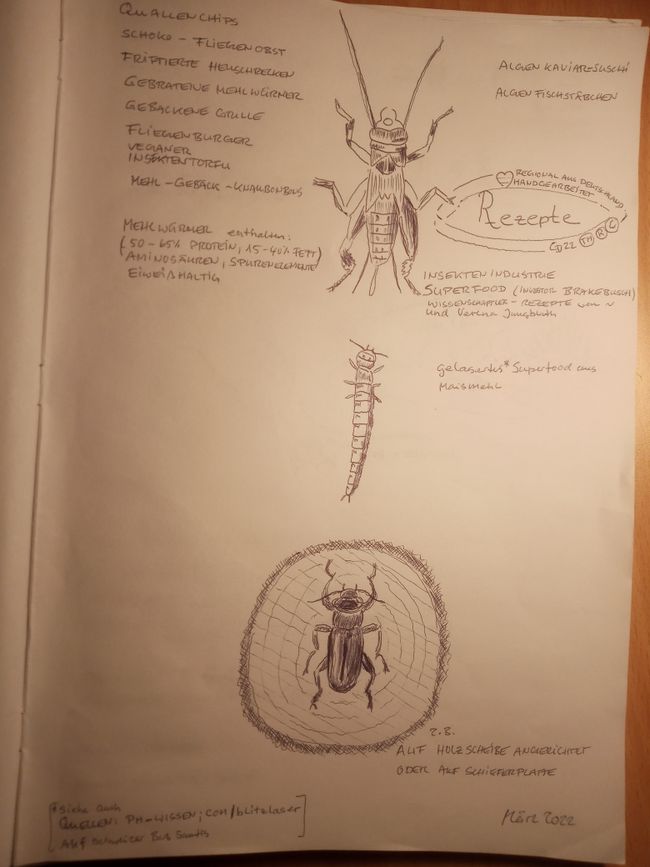 昆虫食谱书