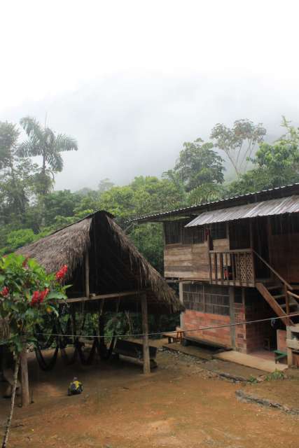 Homestay in the Jungle near Tena