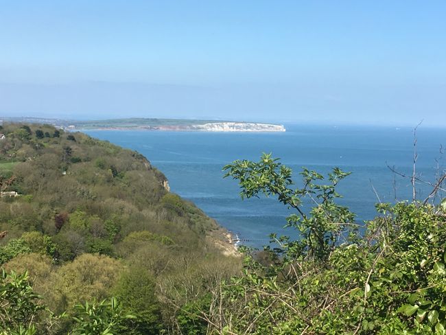 Isle of Wight chalk cliffs