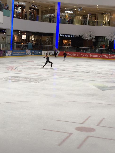 WEM: Ice skating rink