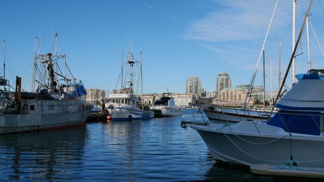 Vancouver Island - Victoria - Fisherman's Wharf