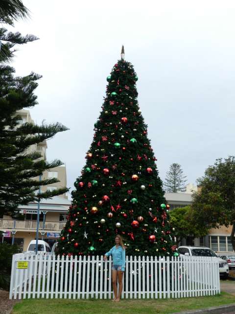 Ich vor einem riesigen Weihnachtsbaum