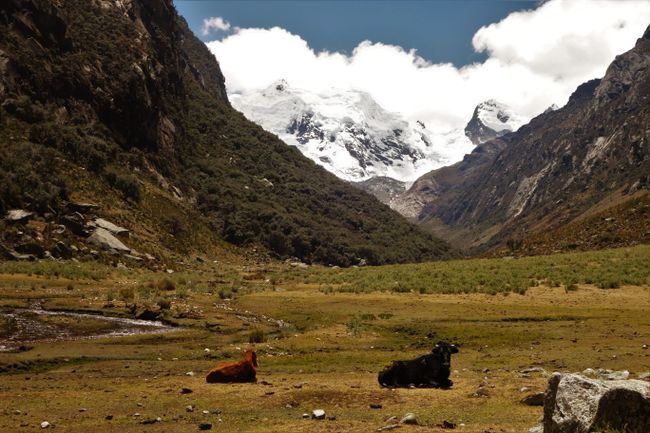 Peru - Huaraz, Trekkingparadies im Norden