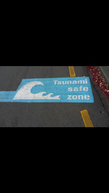 Important to know your tsunami safe zones out here!