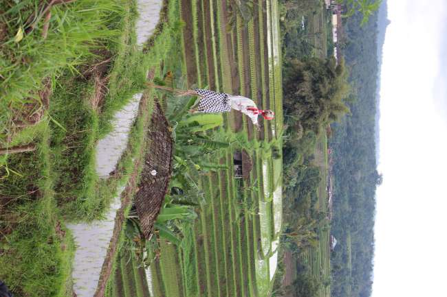 In the mountains of Bali