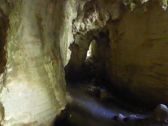 3.1.20 Ruakuri Caves und ab nach Norden