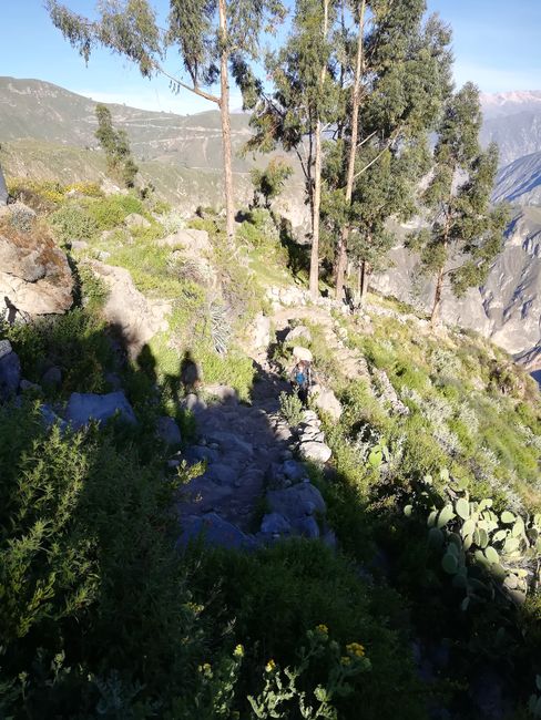 Canyonaufstieg an Tag 3 (insgesamt 1000 Höhenmeter)