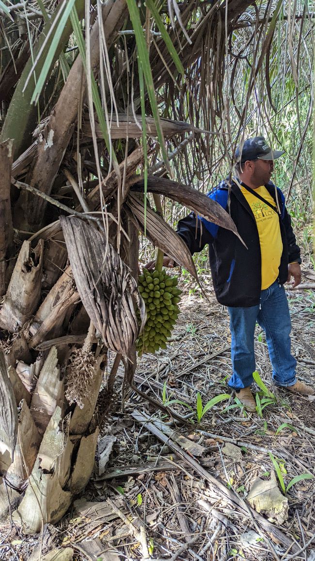 Aufenthalt im Süd Pantanal (Zusammenfassung)
