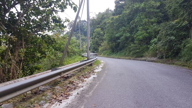 Dann ging es mit den Rollern auf den höchsten Berg der Insel, der Gunung Raya. 